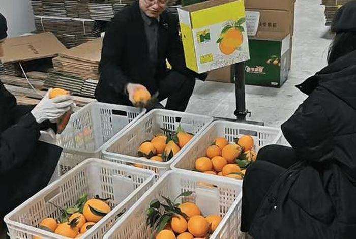 电商农产品怎么和快递合作;电商农产品怎么和快递合作的 电商农产品怎么和快递合作;电商农产品怎么和快递合作的