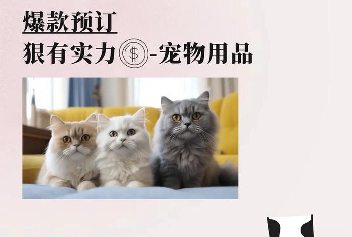 宠物用品电商店铺可以做吗 宠物用品店可以卖宠物吗 宠物用品电商店铺可以做吗 宠物用品店可以卖宠物吗