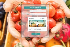 农村电商都有什么项目，农村电商都有什么项目可以做