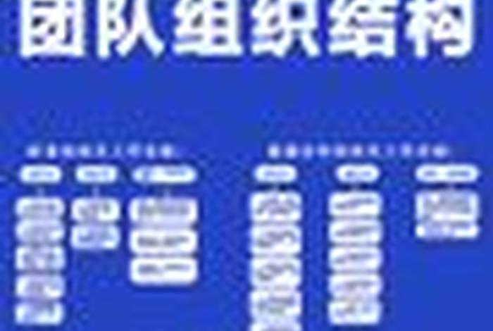 电商运营团队架构 - 电商运营团队组织架构 电商运营团队架构 - 电商运营团队组织架构