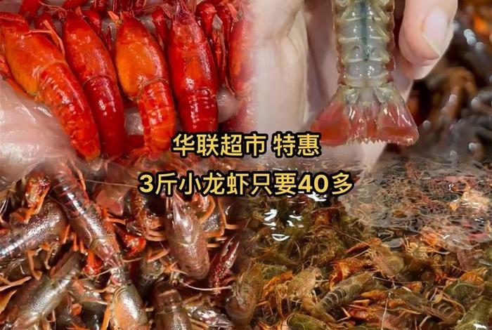 商店卖的一件小龙虾有多少斤 商店卖的一件小龙虾有多少斤呢 商店卖的一件小龙虾有多少斤 商店卖的一件小龙虾有多少斤呢