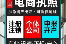 跨境电商线上综合服务平台（跨境电商线上综合服务平台中标公告湘潭）