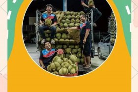 河南电商供应链，河南电商供应链公司排名