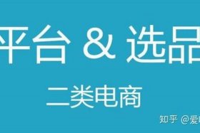 二类电商是什么 二类电商是什么意思