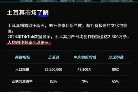 土耳其电商平台入驻（土耳其电商平台入驻申请要多久）