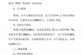 电商平台商业计划书融资方案 - 电商平台商业计划书融资方案怎么写