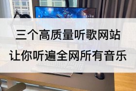 音电商平台、音乐电商平台