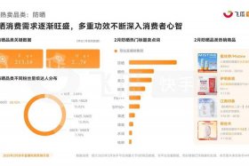 电商快手分析（快手市场分析）