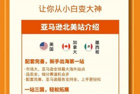 亚马逊电商平台有什么特点 亚马逊电商平台有什么特点和优势