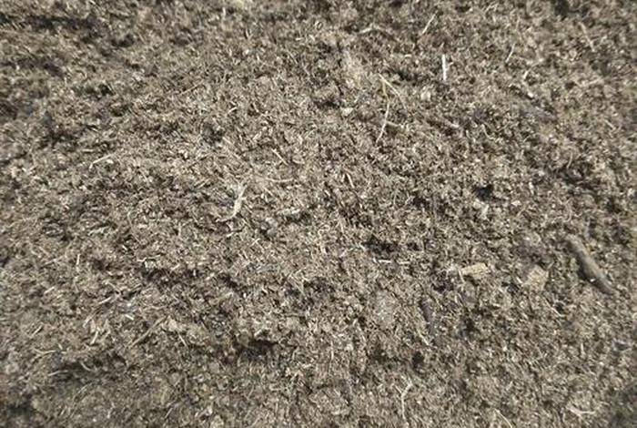 网购苗木 - 网购苗木根部泥团处理