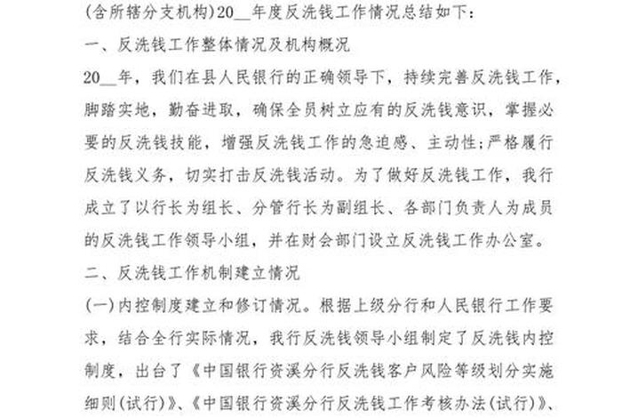 跨境电商洗钱风险分析 - 跨境交易反洗钱风险分析 跨境电商洗钱风险分析 - 跨境交易反洗钱风险分析