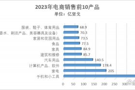 电商市场排名图（电商市场排名图表）