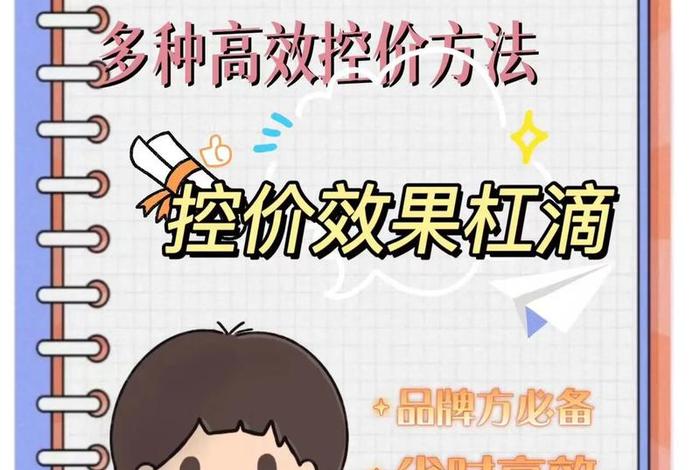 电商控价方案，电商控价方案怎么写