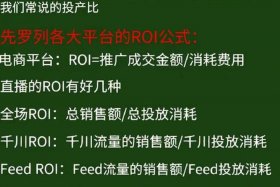 电商roi合理范围；电商术语roi