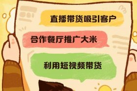 个人跨境电商大米怎么销售，个人跨境电商大米怎么销售出去