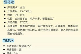 2025年跨境电商好做吗，2025年跨境电商好做吗工资高吗