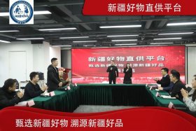 新疆电商扶持政策（新疆电商扶持政策是什么）