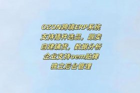 erp跨境电商选哪家、erp跨境电商选哪家企业