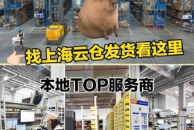 上海专业电商仓储方案；上海电商仓储代发