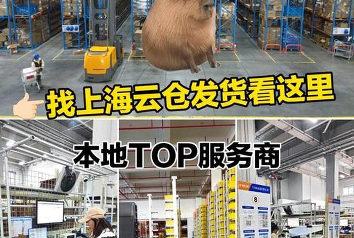 上海专业电商仓储方案;上海电商仓储代发 上海专业电商仓储方案;上海电商仓储代发