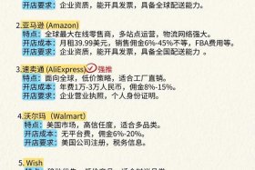 跨境电商新手卖家怎么根据目标市场选择平台，跨境电商新手卖家怎么根据目标市场选择平台呢