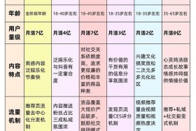 抖音电商平台域名是什么 抖音电商平台域名是什么类型