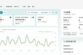 上海丝路电商优势（上海丝路电商优势和劣势）