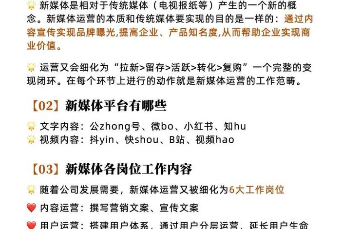 电商新媒体短视频运营，电商新媒体短视频运营方案