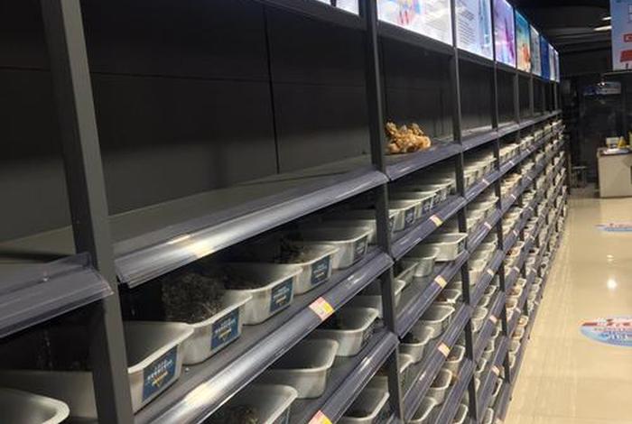 扶摇电商技术(扶摇电商技术公司) 扶摇电商技术(扶摇电商技术公司)