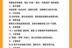 代运营电商公司排行榜杭州、杭州代运营电商公司排名