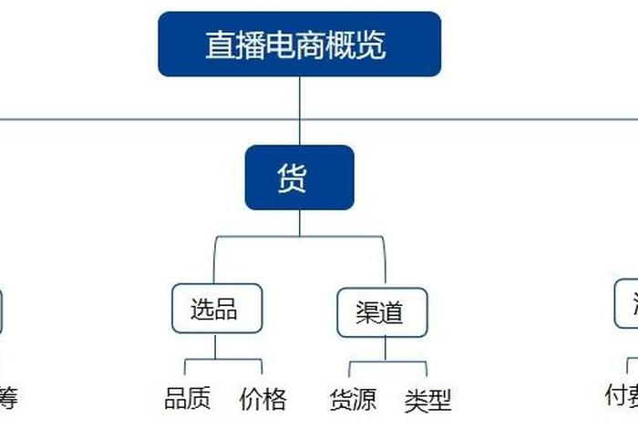 直播电商基本概念（直播电商基本概念有哪些）