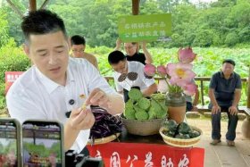 电商助农增收，电商助农增收措施