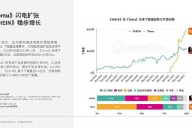 temu电商平台的用户，电商平台的用户消费特点