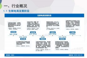 生鲜电商的营销策略 生鲜电商的营销策略研究