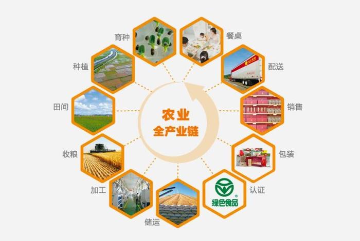 电商农业供应链，电商农业供应链是什么