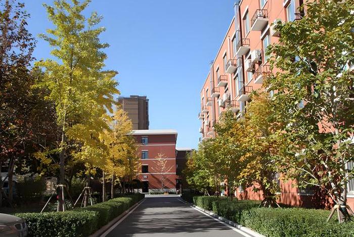 杭州北大青鸟电商培训 - 北大青鸟杭州培训中心 杭州北大青鸟电商培训 - 北大青鸟杭州培训中心