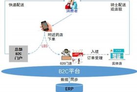 医药b2c平台 b2c医药电商平台