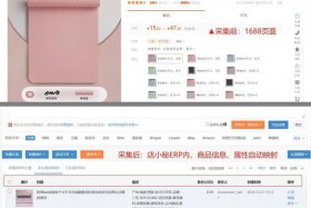 店小秘免费的跨境电商erp - 店小秘免费的跨境电商erp一年会员多少钱