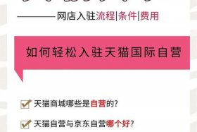 房产电商费（房产电商费合法吗）