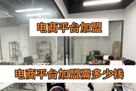 电商加盟平台 - 电商加盟平台2020年