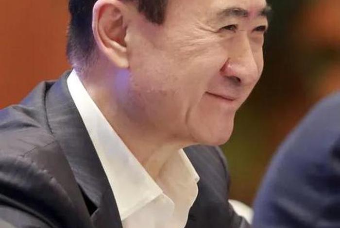 王健林飞凡电商，王健林电商平台