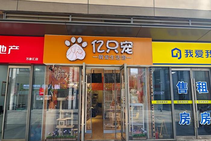 宠物电商名字 - 宠物电商名字大全 宠物电商名字 - 宠物电商名字大全