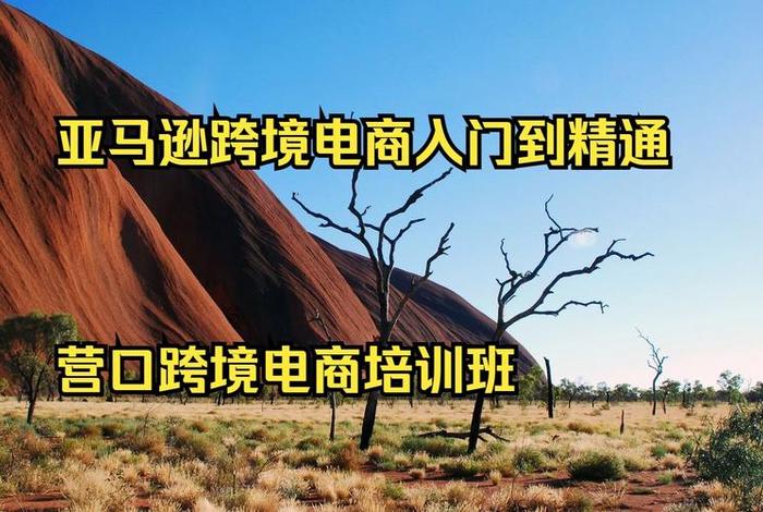 亚马逊培训 - 亚马逊培训版 亚马逊培训 - 亚马逊培训版