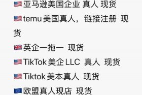 在亚马逊做跨境电商要会英语吗、在亚马逊做跨境电商要会英语吗多少钱
