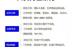 电商运营是干嘛的 - 电商运营是干嘛的？