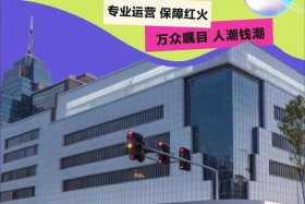 二类电商招商加盟（二类电商招商加盟平台）