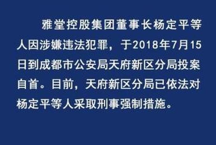 雅堂电商杨定平(雅堂金融杨定平最新) 雅堂电商杨定平(雅堂金融杨定平最新)