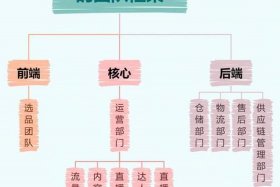 团体电商；电商团队结构示意图