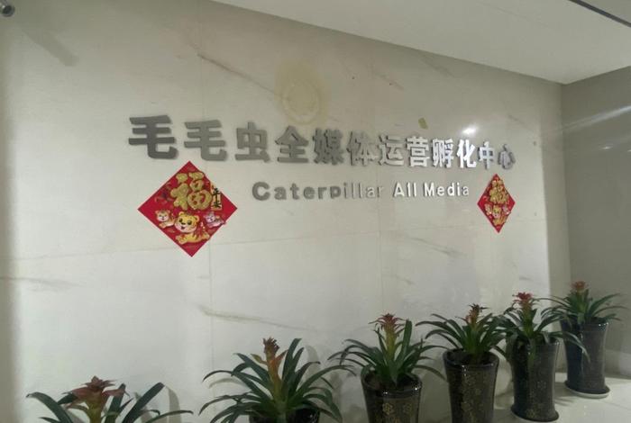 毛毛虫电商集团,毛毛虫电商集团 销售规模 毛毛虫电商集团,毛毛虫电商集团 销售规模