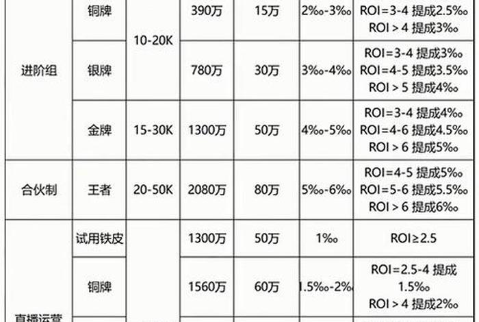 电商运营团队薪酬设计(电商运营团队薪酬设计模板) 电商运营团队薪酬设计(电商运营团队薪酬设计模板)